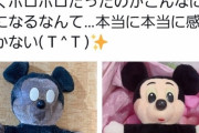 【朗報】ミッキー、ぬいぐるみ病院でガチで蘇生される