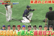 今年のプロ野球好プレー珍プレー大賞、珍プレーが不作で盛り上がらない