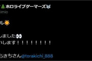 【ホロライブ】みおしゃのつぐのひマリンコラボって船長と一緒にやるってことではないのか