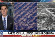 【悲報】米国人「LAがヒロシマのようだ…」