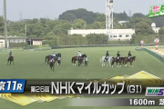 【NHKマイルC】シュネルマイスター＆ルメール騎手が ｷﾀ━━━━━━(ﾟ∀ﾟ)━━━━━━!!