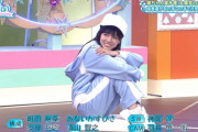 【日向坂46】ひな会い南ちゃん選手権、来週もカオス回になりそうwwww