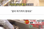 韓国人「日本の人気弁当（鰻重のタレ飯だけ）に一同大爆笑ww」「VRで見たら鰻と一緒に楽しめます^^」」