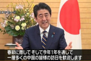 【地獄】感染逃れで中国人が大量に日本に流入