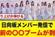 日向坂メンバーの発信で、おひさま空前の〇〇ブームが到来するwww【日向坂46】