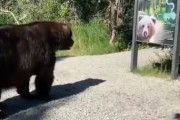 「はえー、ここクマ出没するんか。帰ろ」