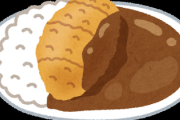 【徹底討論】カツカレーとかいう欠陥料理についてwww
