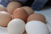 【急募】一人暮らしの一般社会人が卵を購入する方法