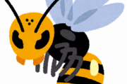 【急募】蜂に自信ニキ
