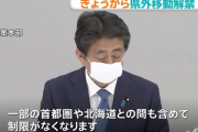 【悲報】日本政府「東京で41人コロナ感染だと！うーん！移動全面解除ｗｗｗ」