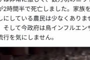 「わるいことが起こるだ」中国の養鶏場で鳥インフル発生。2時間半で数万羽死亡「わしにはわかるだよ」