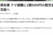 【画像】秋田県で狩猟解禁→ツキノワグマ1頭に5,000円の報奨金