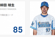 田中浩康コーチの「違うんだょな」とはなんだったのか