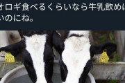 【正論】ひろき「コオロギ食うんなら牛乳飲めよ。何トン廃棄されてると思ってるんだ！」