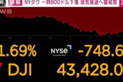【画像】謎に騒ぐ人「株価暴落！新NISA年初一括民逝ったあああｗ」→それではこちらをご覧ください‥‥