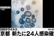 【速報】東京コロナ＋24人…全然減らない模様ｗｗｗｗｗｗ