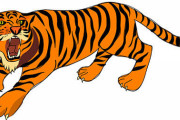 【疑問ｗ】なんでサガットって技にタイガーつくの？？？？？？？？