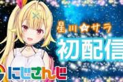 Vtuber 【星川サラ】「自分の活動を考えてやってる」「みんなはマネージャーじゃないから」正論なんだけど言い方がねぇ