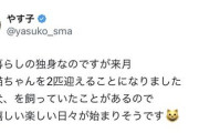 【激怒】保護猫嫉妬民、やす子『保護猫2匹迎え入れます』の投稿にブチギレ「芸能人は特別扱いか？」