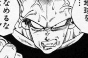 【ドラゴンボール】ナメック星人「地球を…舐めるなよｗｗｗｗｗｗ」⇦これ！！！