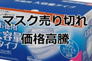 嫁「マスク売り切れてた…」俺「いや、健康ならマスク意味ないから」嫁「意味あるからみんなマスクしてるんでしょ！」→ 家庭崩壊へ
