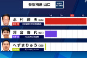 【悲報】へずまりゅう、参院補選で6809票ゲットする