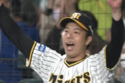 阪神、今シーズン2勝目で優勝したような雰囲気になるwwwww