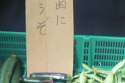 採れたての野菜を家の前に置いて「ご自由にお持ち帰り下さい」とご近所にお裾分けしてたら「毎日飽きもせず玉ねぎばっかりｗｗｗクソマズイんだよｗｗｗ」とお隣のご主人に罵られた