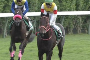 【競馬】なんで馬なのにライオンなの？