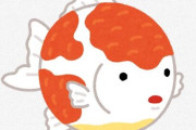 ピンポンパール　←この金魚、可愛すぎるのになぜいつまでたっても流行らないんだろうな