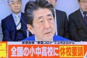 【悲報】感染症専門家医師「２週間小中学校を休校する理由が分からない」