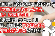 母「もう無理。自分の事は自分でやって」父「学費出してやってんだろ、（私）やれ」先日、離婚して家を出た母と話す機会があったんだけど…