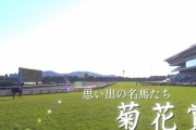 競馬板民の好きな菊花賞馬