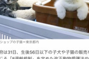 小泉進次郎「犬や猫の遺棄を防ぐためにマイクロチップの義務化 2022年6月の未来から」