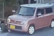 【動画】子供を轢いた車、そのままアクセル全開してトドメを刺しに行ってしまう