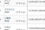【謎】過去最高値を更新した日本の株価、時価総額３位と４位が誰も知らない謎の企業に占められる