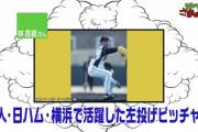 巨人 日ハム 横浜に居た林投手について知ってる事