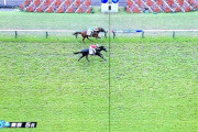 ゴールドシップとキズナ産駒が新馬戦勝ちｗｗｗ