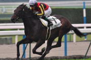 神戸新聞杯→菊花賞→JC→有馬記念(出走取消)→日経新春杯