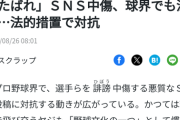 「どっか行けプロやめろ」「ゴミデブくたばれ」中傷に球界が法的措置　なんG民全員開示へ