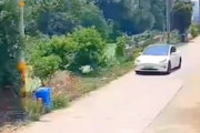 【動画】自動運転中のテスラモデル3、突然池に飛び込んでしまう。