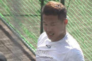 【悲報】日ハム王柏融さん、居場所がなくなってしまう…