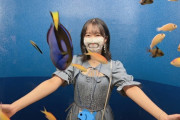 STU48今村美月「宮島水族館最高だ！」【STU/瀬戸内48みちゅ】
