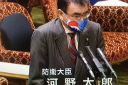 【悲報】河野太郎、国会でとんでもないマスクをつけてしまい大炎上