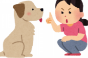 暴れて吠える犬を叱るときの妻の言葉が効果絶大な件wwww
