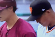 【悲報】西川遥輝さん、打率.237
