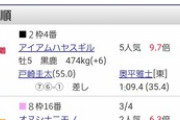 ●そもそもアリストテレスは競馬走ったらアカンやろ