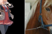 【ウマ娘】ゴールドシチーだと思われた写真、実は〇〇だったｗｗｗ