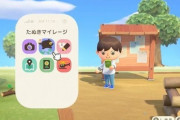 どうぶつの森さん、プレイ時間長いほど有利なゲームになってしまう…