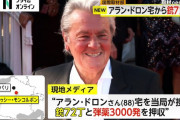 フランスの俳優、アラン・ドロンさんの自宅から銃72丁を押収